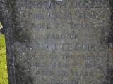 image of grave number 904527